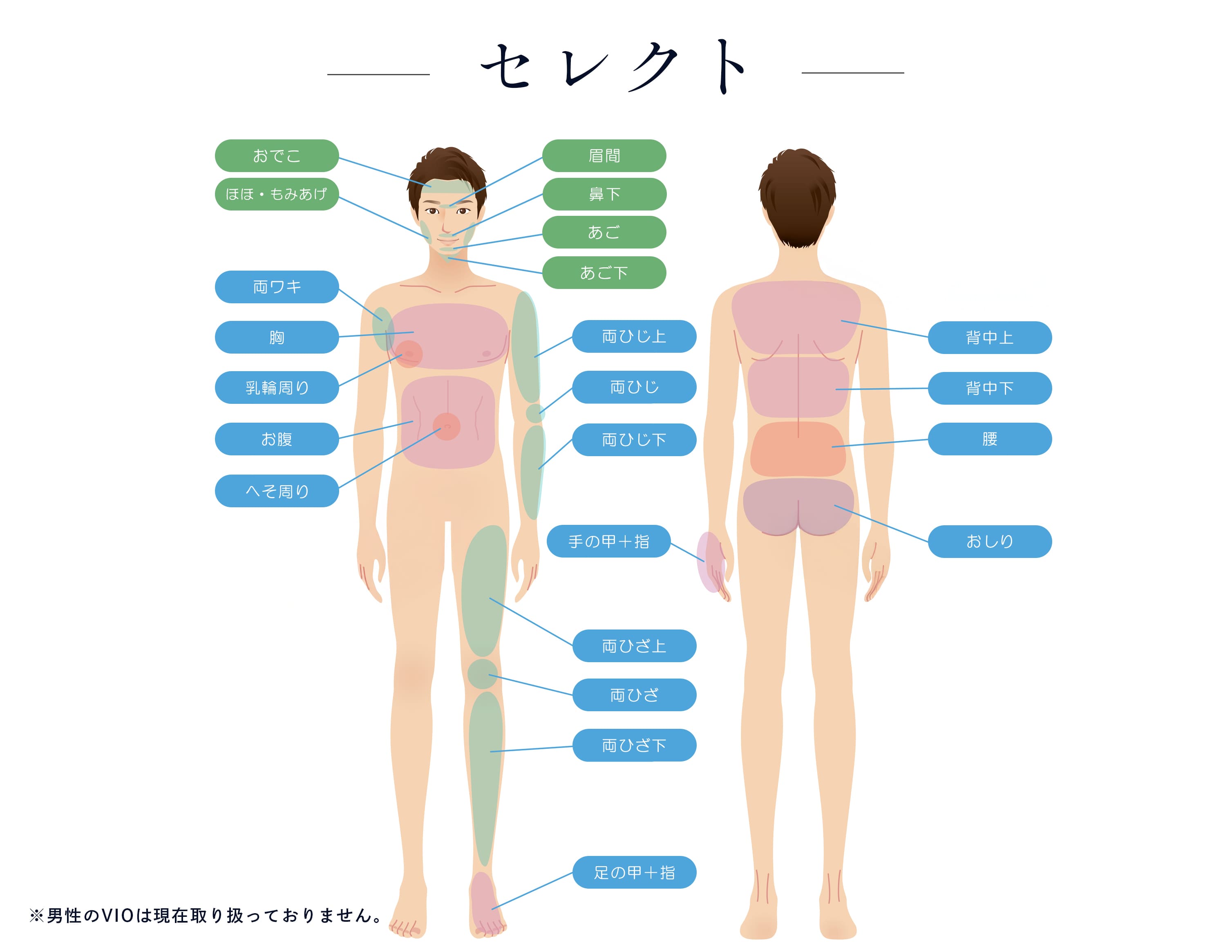 セレクト